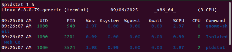 How to Find and Kill High CPU Processes on VPS