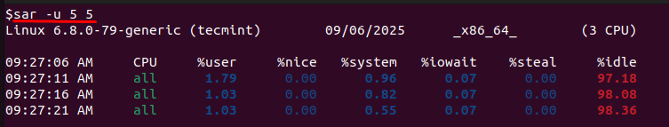 How to Find and Kill High CPU Processes on VPS
